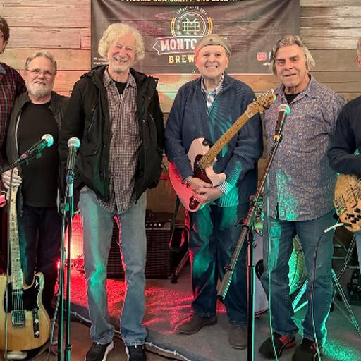 The Michael Reitman Band 