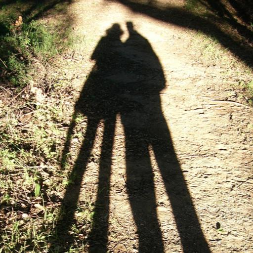 Long Shadows