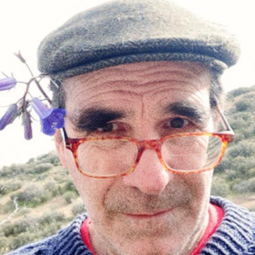 Tim O'Gara