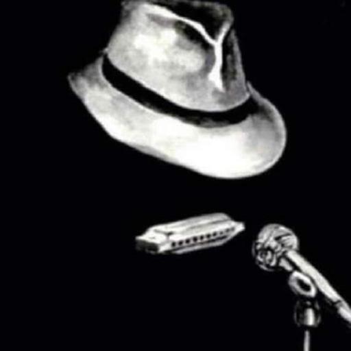 Patrick Lines: Beginner Harmonicas