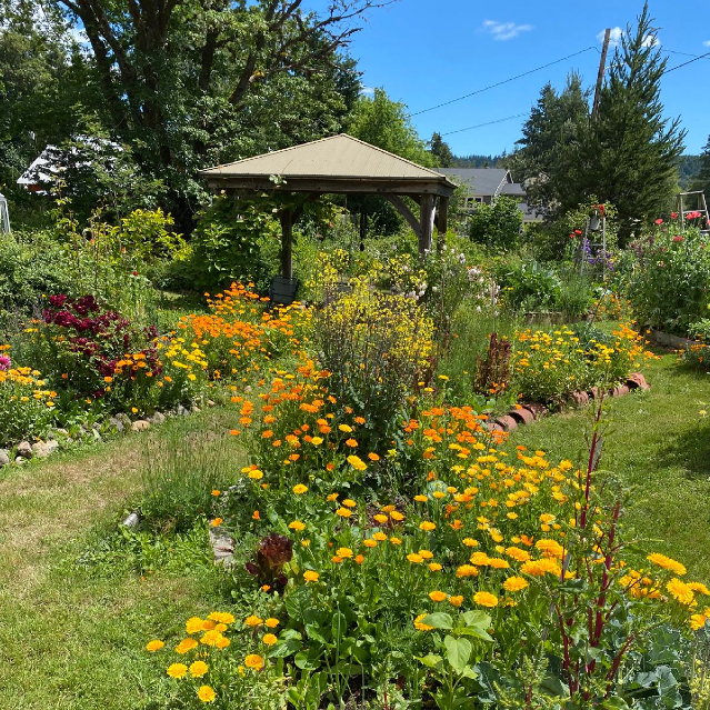 Open Garden Stage