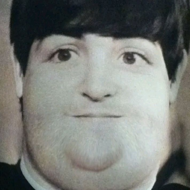 The Chubby Bunnies