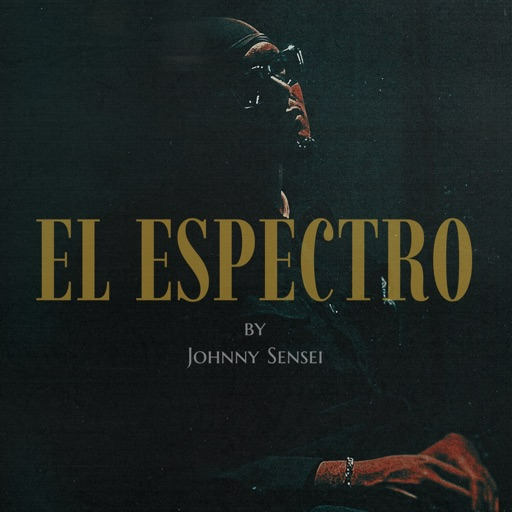 Johnny Sensei 