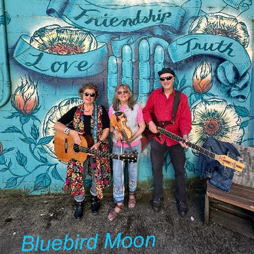 Bluebird Moon Band